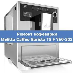 Чистка кофемашины Melitta Caffeo Barista TS F 750-202 от накипи в Ростове-на-Дону